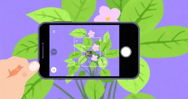 Смартфон сканирует комнатное растение с цветами, вокруг рамка распознавания и листья